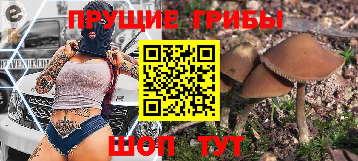 Галлюциногенные грибы мухоморы  Вход с VPN  Морозовск 
