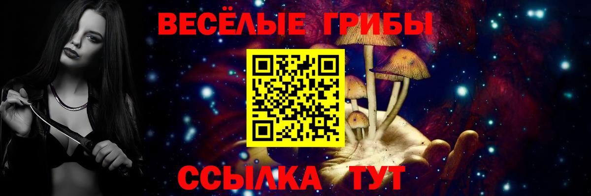Галлюциногенные грибы Psilocybine cubensis Морозовск